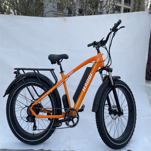 Say Goodbye to Expensive Gas and Hello to More Fun with Addmotor Electric Bike