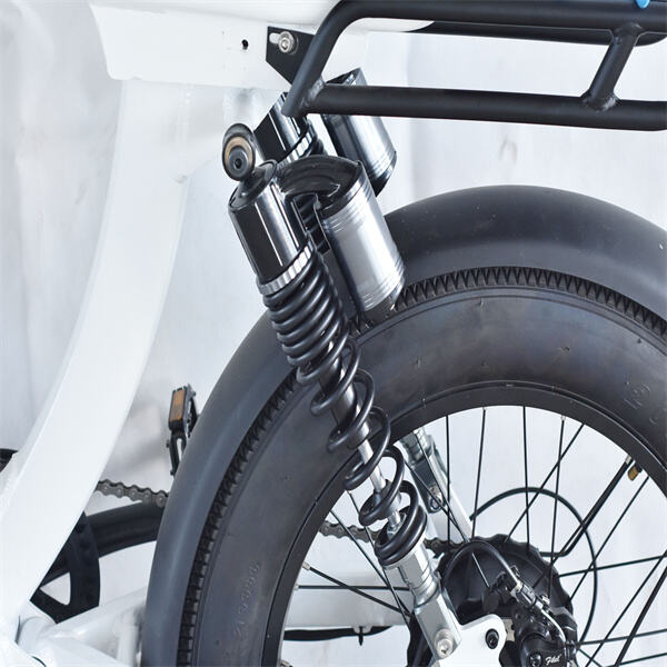 Exploring the outdoors just got easier with a 1000w electric bike