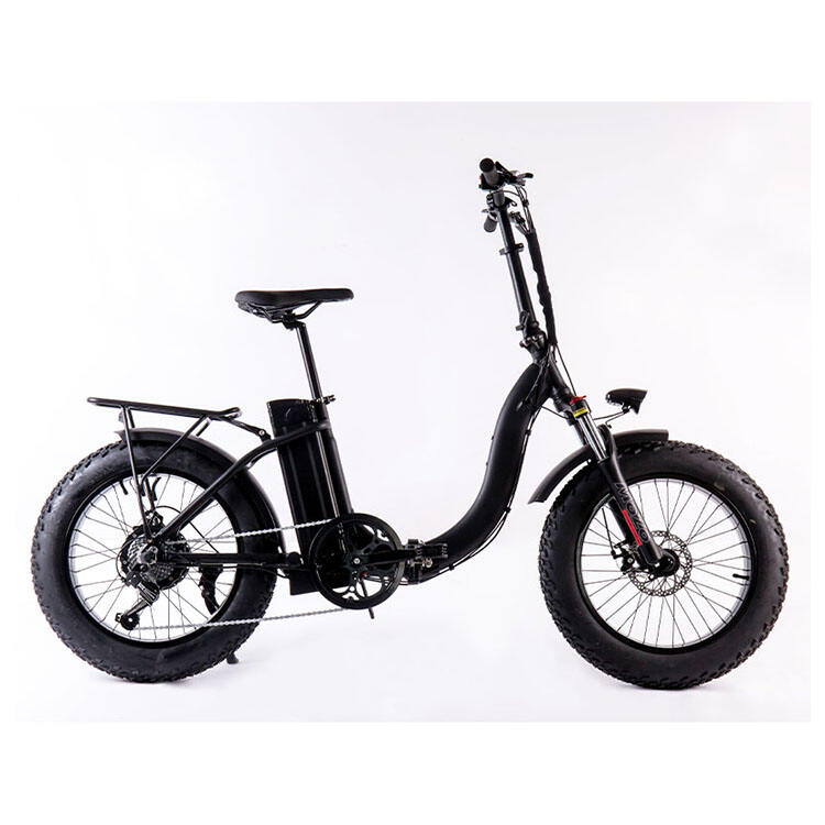 Foldable Bike Electric Motor Bike Fat Tyre Beach Brushless Hub Motor AKM250W/500W Light LCD Smart Charger details