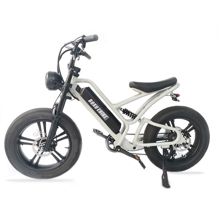 20 inch Cargo E-bike Mtb Electric Bike Fat Tire Electric Bicycle Ebike Electric Mountain Bike details