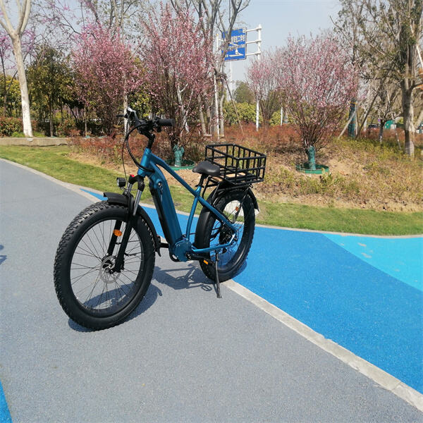 Experimente la libertad de la carretera abierta con una bicicleta eléctrica de una sola velocidad.