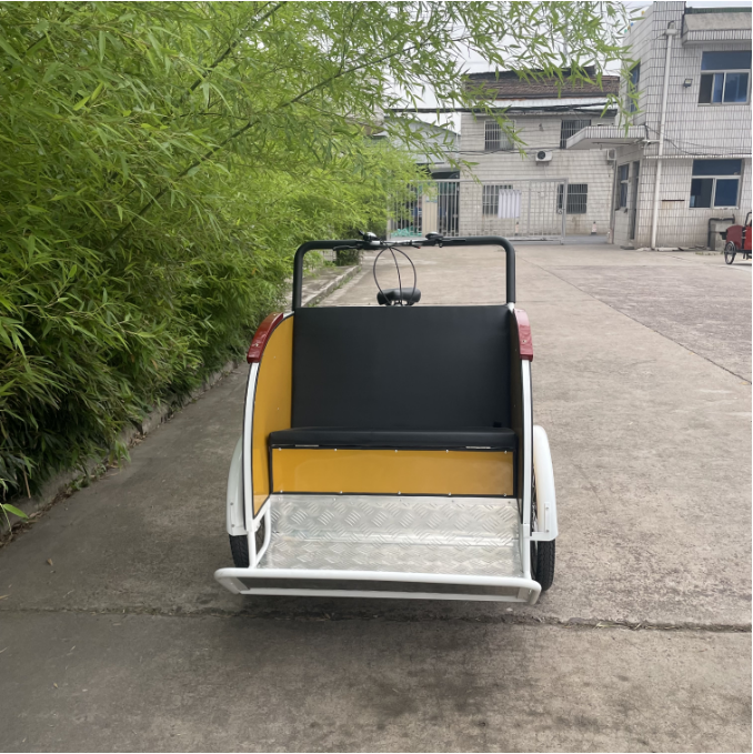 36V 48V 250W 350W 500W Brushless Hub Motor E-Bike Cargo Bike Family Child Transport factory