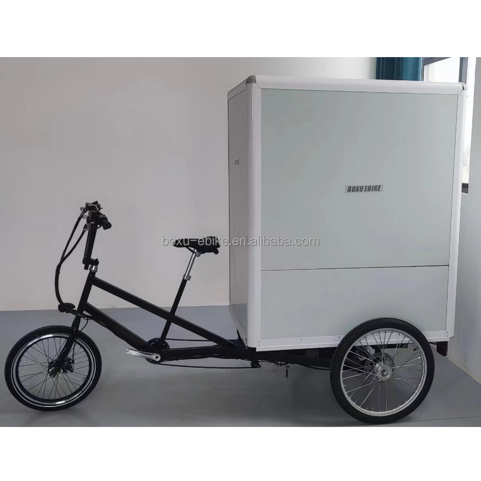 3 wheel electric tricycles adults e-trikes cheap electric cargo tricycles details