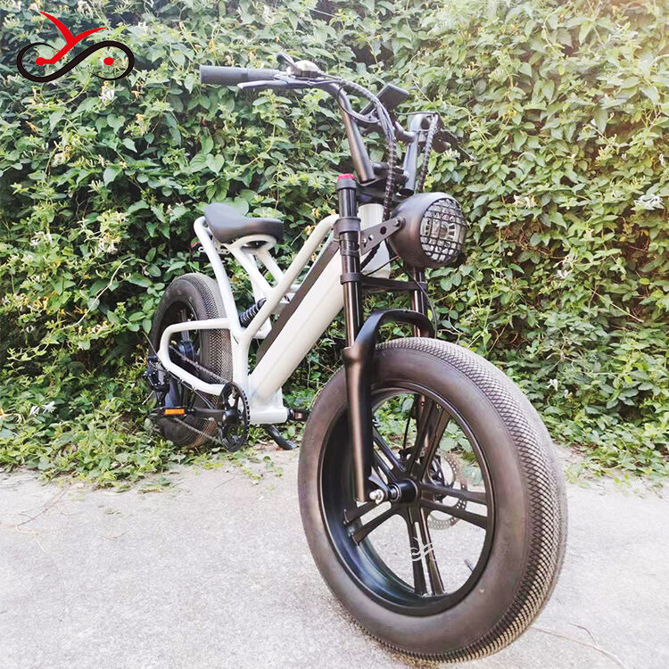 20 inch Cargo E-bike Mtb Electric Bike Fat Tire Electric Bicycle Ebike Electric Mountain Bike factory