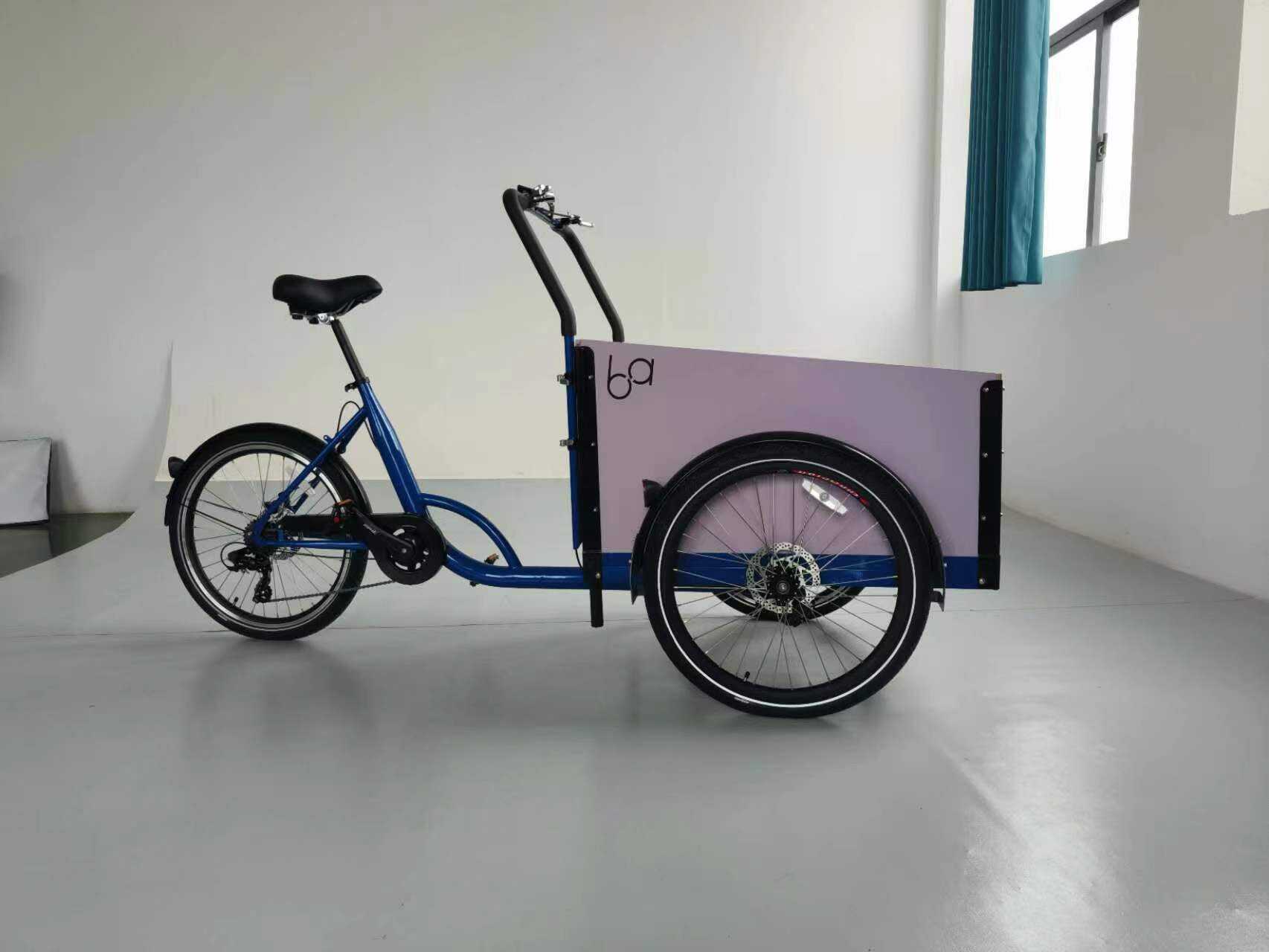 Dutch Tricycle Electric Cargo Bike 3 Wheel Coffee Bike Trailers Max Set Steel Motor Frame Power Battery Style Time Charging Gear manufacture