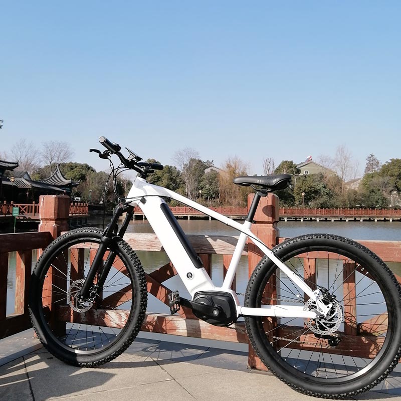 OEM and ODM Electric Bike 36V 250W For Sale Brushless LED Light supplier