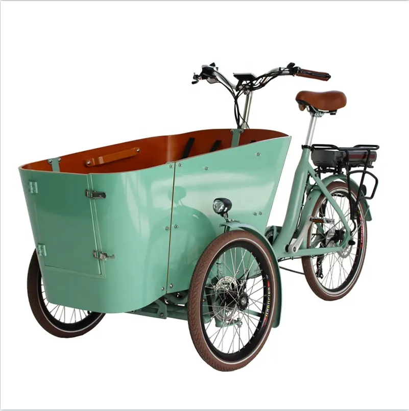 250W  three wheels cargo bike electric e-cargo family e bicycle electric tricycle  reverse tricycle cargo details