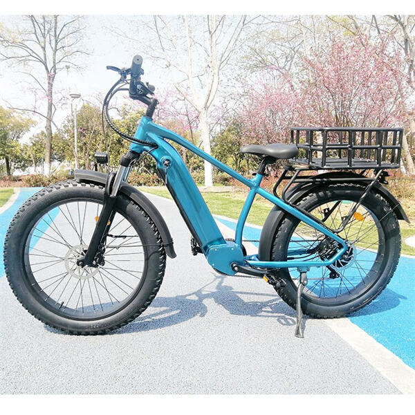 Ride in style with an eco-friendly electric bike and sleek basket design