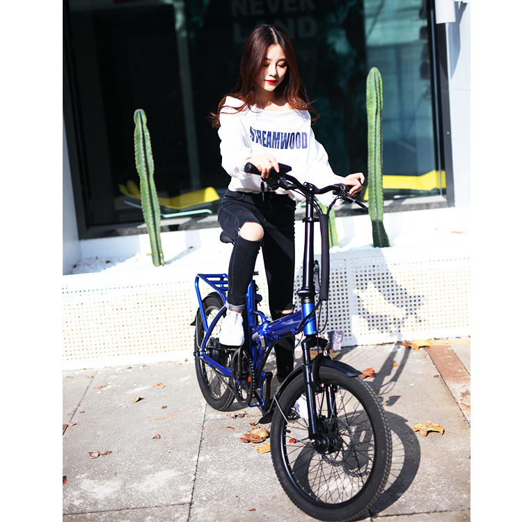 Foldable E bicycles 20 inch fat tire electric moped bike 350W 500W 750W small folding electric bike affordable electric bike supplier