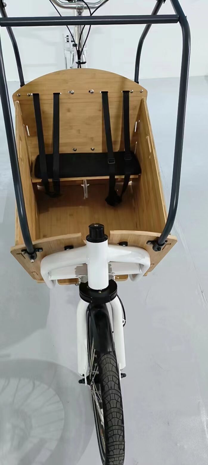 BOXU Customized Family Cargo Bike Electric Ebike E-cargo Family E Bicycle Central Motor supplier