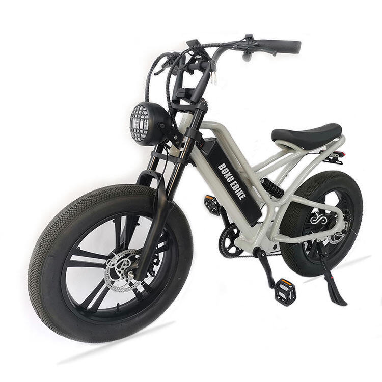 20 inch Cargo E-bike Mtb Electric Bike Fat Tire Electric Bicycle Ebike Electric Mountain Bike factory