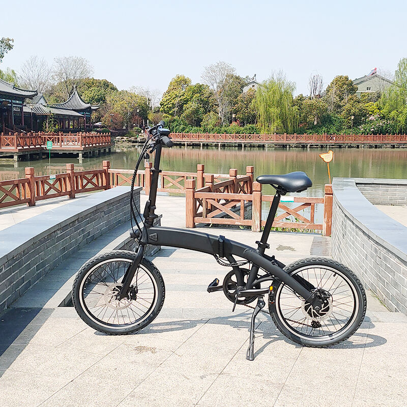 Off Road  Adults Cycling Ebike 48V 500W Mountain Electric Bicycle Fat Tire details