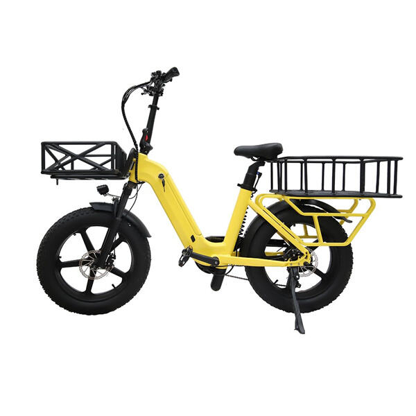 Experience effortless commutes with the tricycle electric bikes' exceptional features