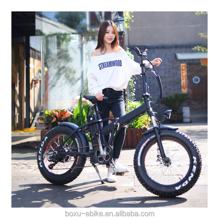 selling 500w 750w 1000w motor e-bike fat tire e bike mtb foldable e bike supplier