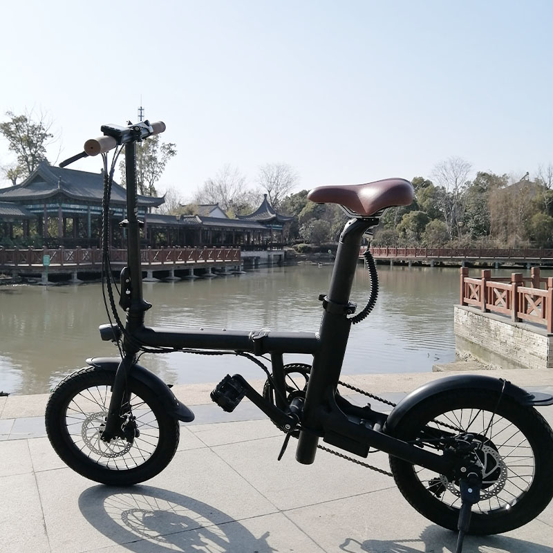 Foldable Electric Bike Brushless 36V 250W LED Light OEM Frame Battery Time Charging details