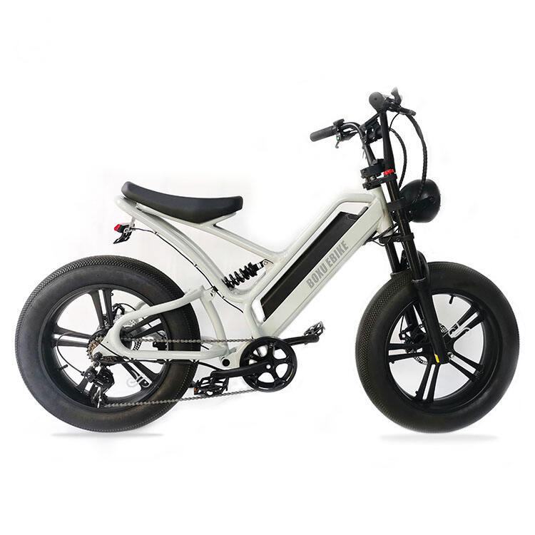 20 inch Cargo E-bike Mtb Electric Bike Fat Tire Electric Bicycle Ebike Electric Mountain Bike details