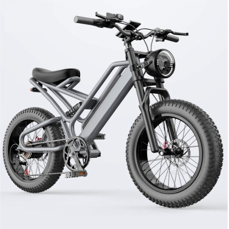 20 inch Cargo E-bike Mtb Electric Bike Fat Tire Electric Bicycle Ebike Electric Mountain Bike supplier