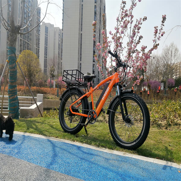 Vă prezentăm bicicleta e BMX