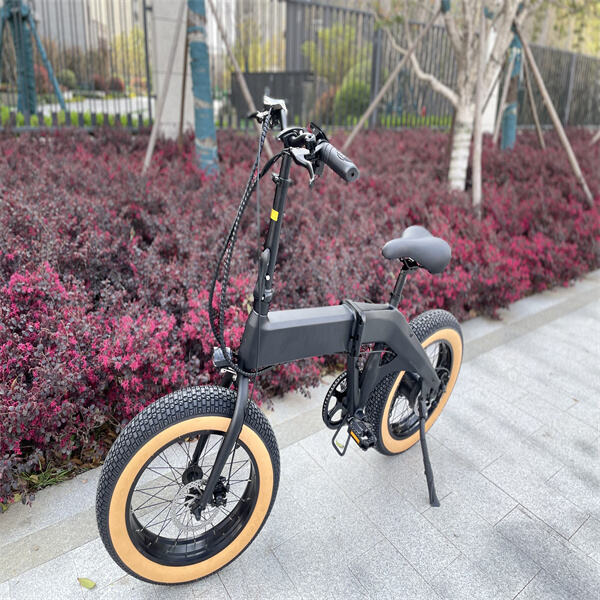 Bicicleta electrică de 1000 de wați