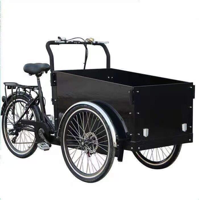 sustainable lithium battery 24inch cargo e-bikes long seat cargo bike electric family cargo bike child seat details