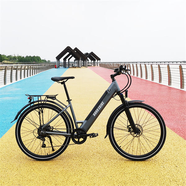 Melhore seu estilo de vida ecológico com uma bicicleta elétrica de 1000 W