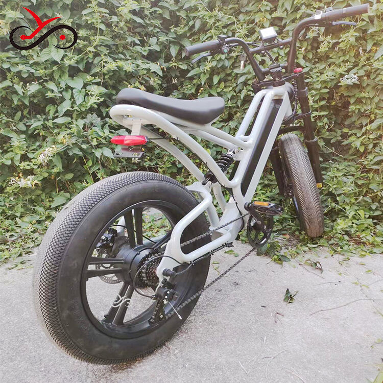 20 inch Cargo E-bike Mtb Electric Bike Fat Tire Electric Bicycle Ebike Electric Mountain Bike factory