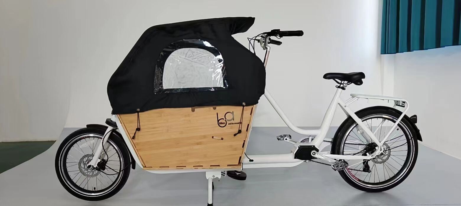 BOXU Customized Family Cargo Bike Electric Ebike E-cargo Family E Bicycle Central Motor details