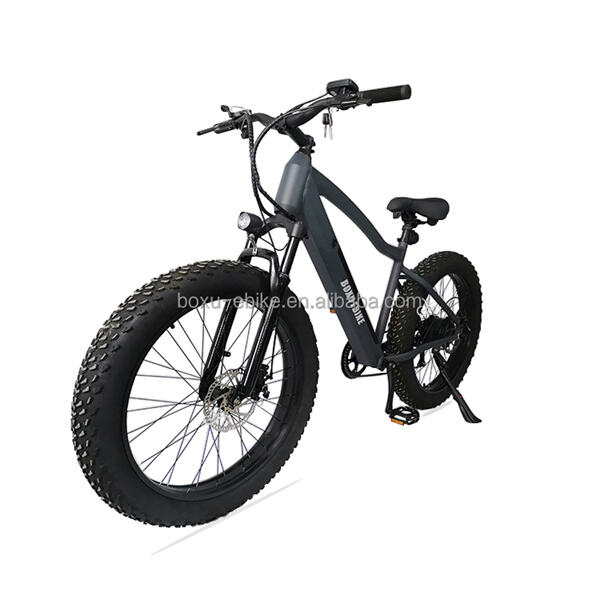 Experience Fun and Efficiency with an Electric Bike Wheel