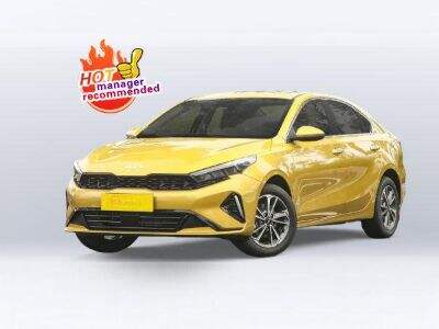 Top Benefits of Partnering with a Chinese Vehicle Wholesale Supplier