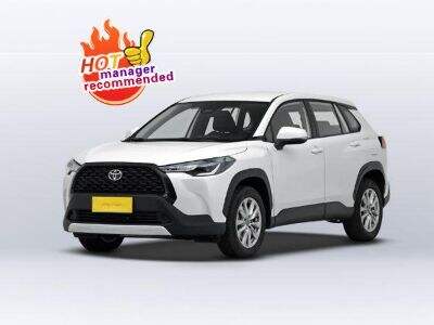 Electric Car Market Trends 2025: What Overseas Buyers Must Know