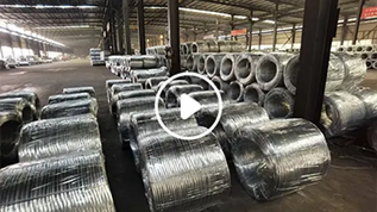 Galvanized Iron Wire