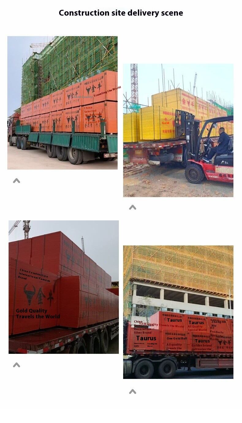 The construction project is glued layer by layer, multi-layer board plywood manufacture