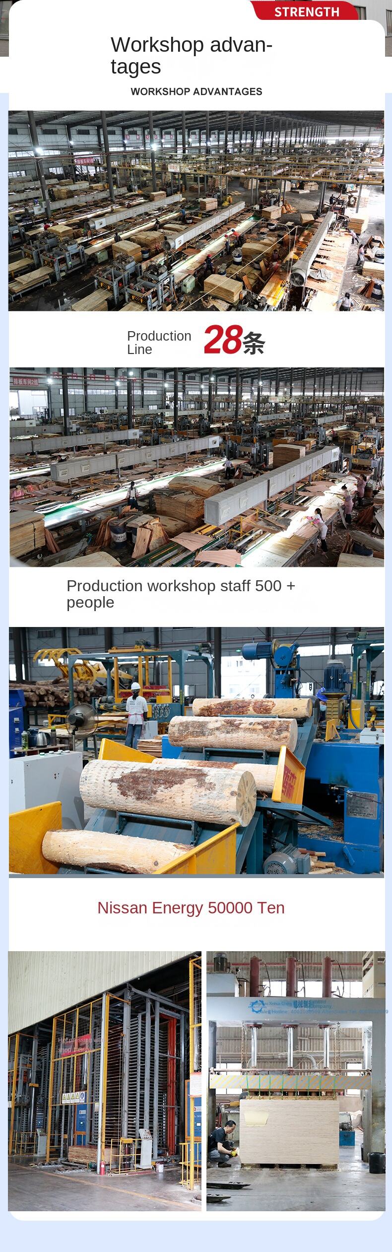 Multi-Layer Construction Board Wood Formwork Full Whole Core Corrosion Resistance Interlocking for Concrete Formwork supplier