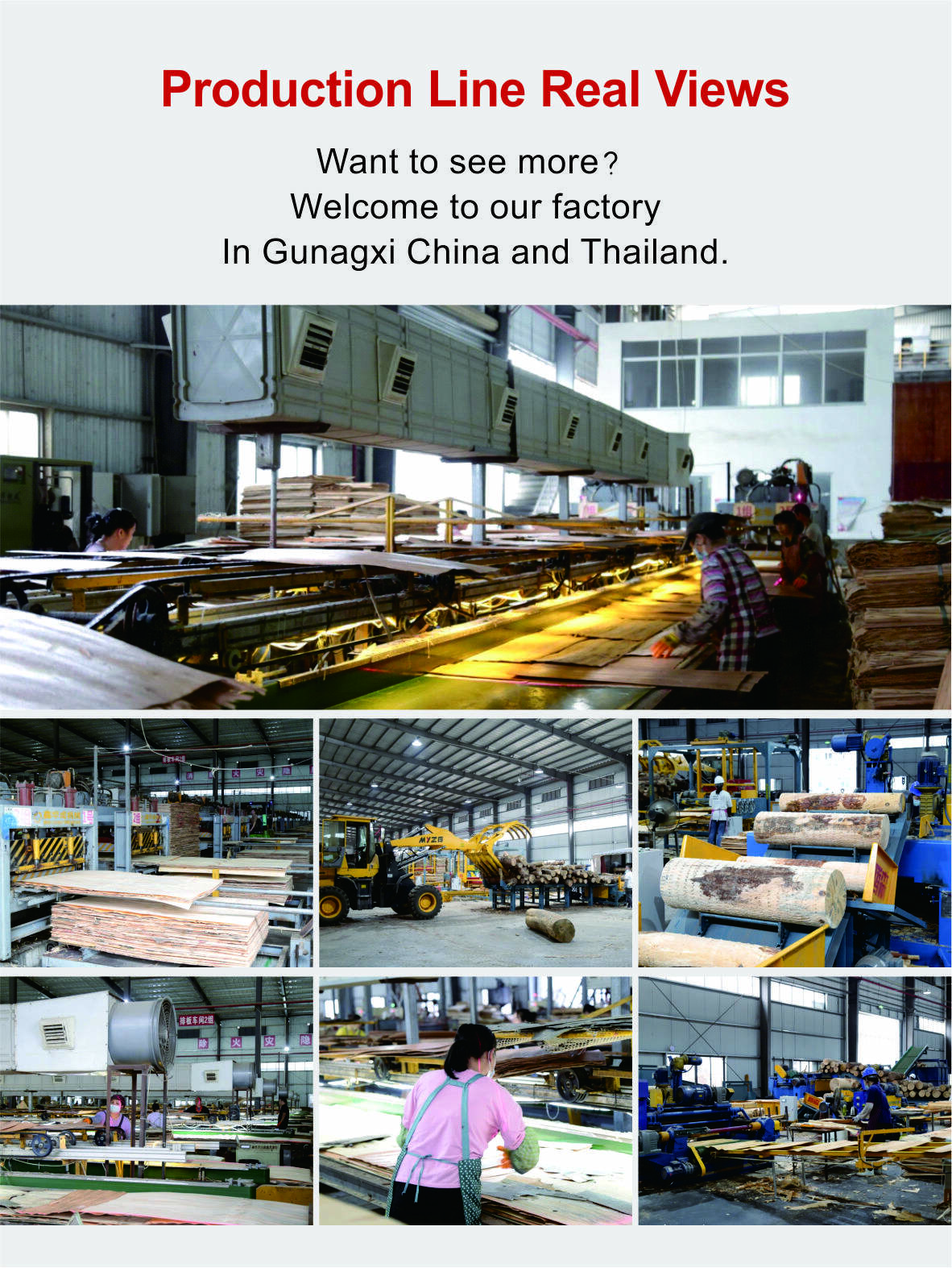 product wholesale 4x8 18mm marine green pp plastic plywood sheet for concrete form-6