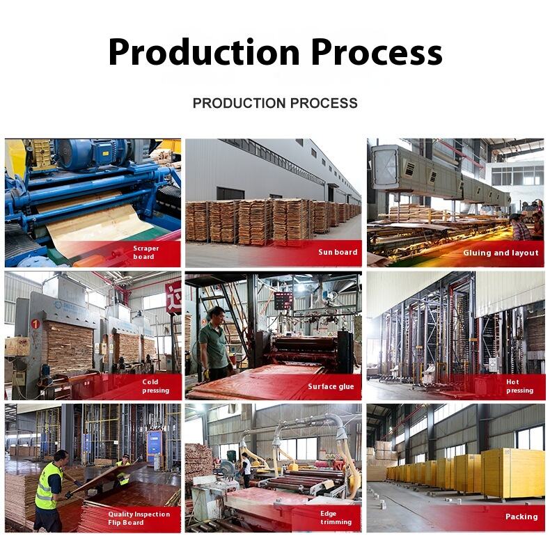 Durable Waterproof Bamboo for Bridge Engineering Hotel Use 2440 *1200 Whole Frozen Storage Veneer Boards Black WBP supplier