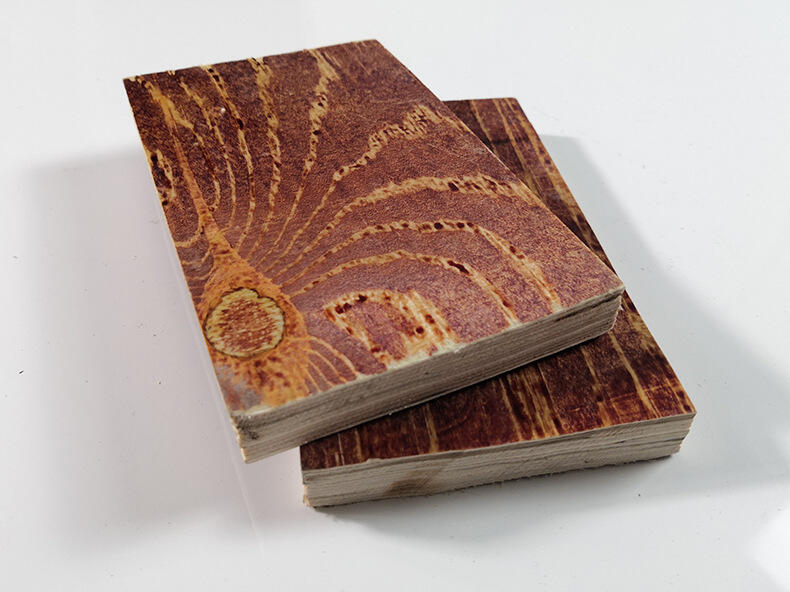 Industrial Design Veneer Boards Plywood for Outdoor Construction Film Faced Concrete Formwork Shuttering Plywood supplier