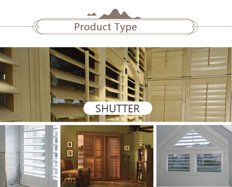 Modern Anti-Mosquito Window Screen Shutters for Outdoor Living Durable Home Design Horizontal Opening Pattern for Summertime factory