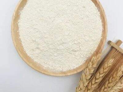 Why Brown Rice Protein Powder Is Used in Sports Nutrition