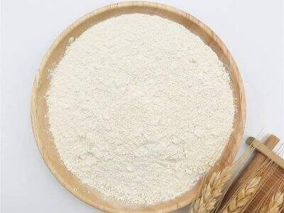 Bulk Supply Chains for Organic Rice Ingredients