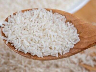 Market Insights for Rice Ingredient Exporters and Distributors