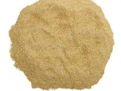 What Are the Key Application Scenarios for Rice Bran in Powdered Food Products?