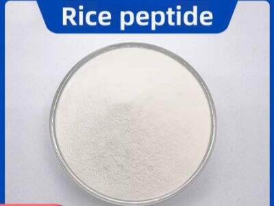 Global Sourcing Strategies for Rice Protein and Starch