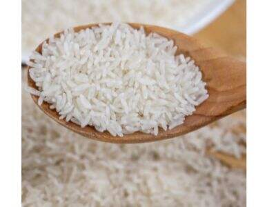 Global Demand Trends for Instant Rice Suppliers