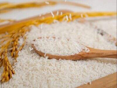 Instant Rice Processing Technologies for Food Manufacturers