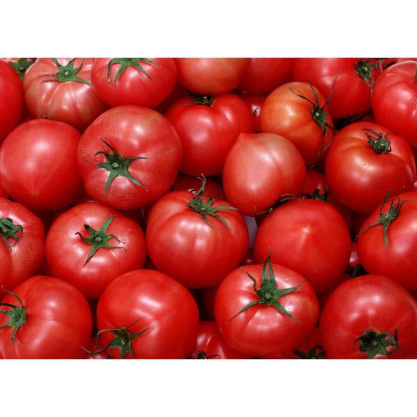 The potential health risks and safety considerations of handling EDTA Na2.