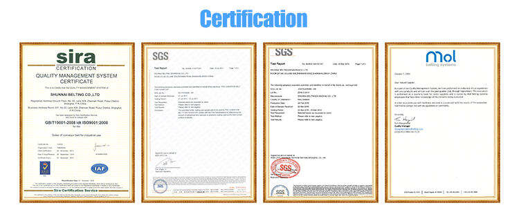 China Factory Custom Manufacturers pu pvc pvk transmission polyester conveyor belt supplier