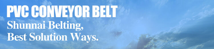 High Quality 2mm Black PVC Antistatic Fabric Conveyor Belt for Logistics Transportation Direct From Factory details