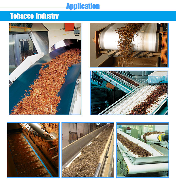 China Manufacture Competitive Price Pvc Conveyor Belt details