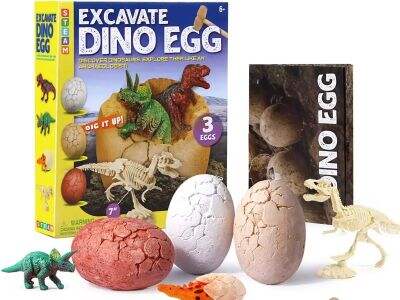 Top 3 Dinosaur Digging Toys Manufacturer In Norse