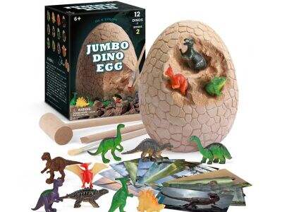 Top 5 Dino Egg Dig Kit Supplier In Canada